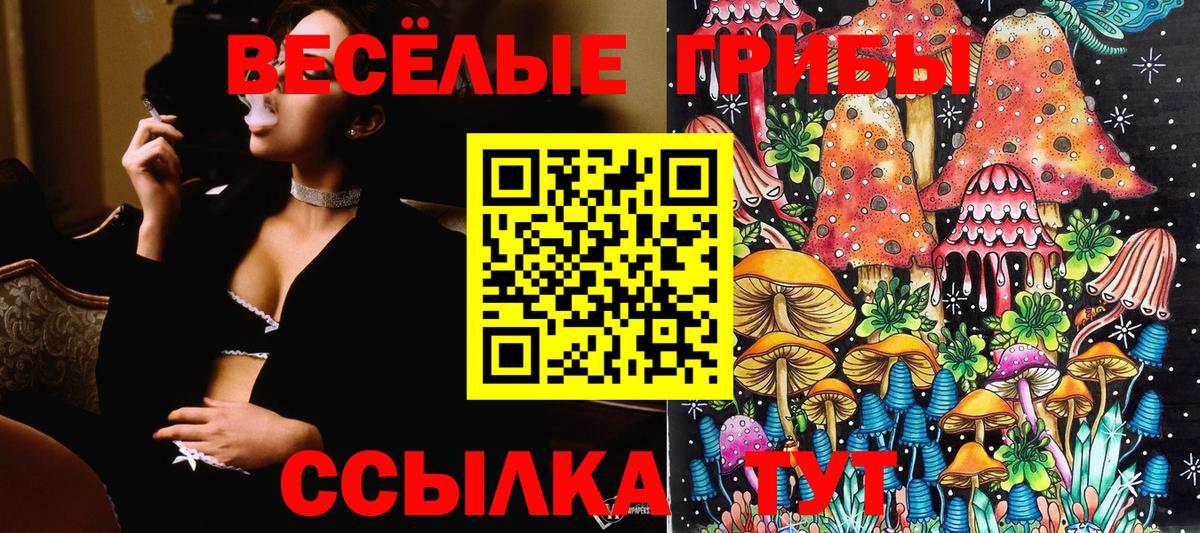 Галлюциногенные грибы MAGIC MUSHROOMS  Вход с VPN  Углич 