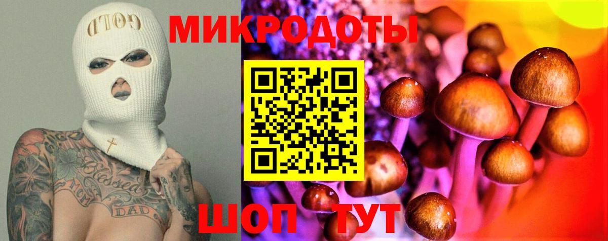 Галлюциногенные грибы Psilocybe Углич