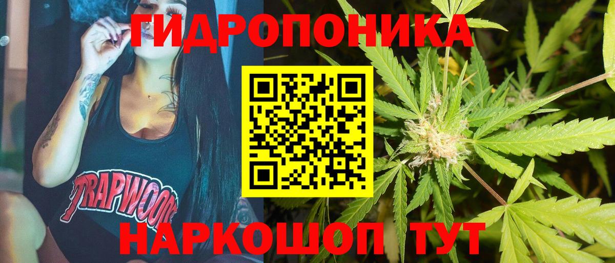МАРИХУАНА SATIVA & INDICA  Вход с VPN  Углич  Конопля OG Kush 